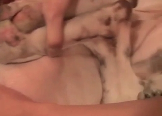 Amazed dog gets penetrated so freaking sexy