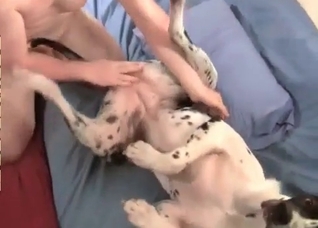 Sweet spotted dog and zoophile