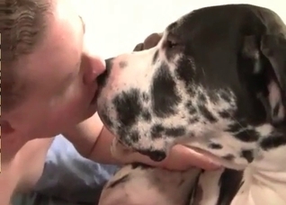 Sweet spotted dog and zoophile