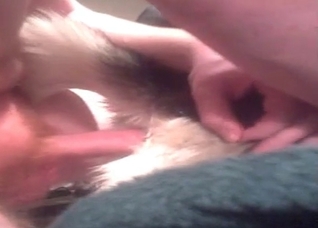 Amateur anal sex with a dog