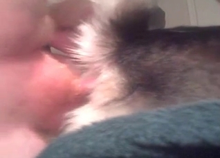 Amateur anal sex with a dog