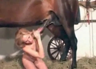 Busty zoophile blows a giant pipe