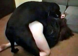 Dog rapes an awesome zoophile