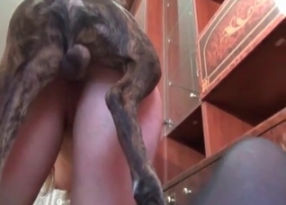 Russian zoo slut loves her dog