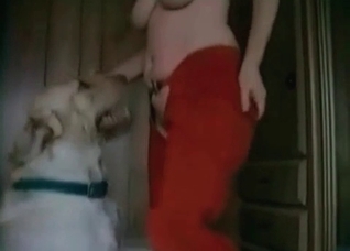 Cute puppy gives cunnilingus