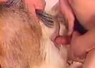 Animal gets into Zoo sex action