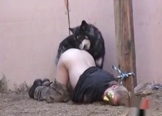 Dog fucks a juicy fat booty