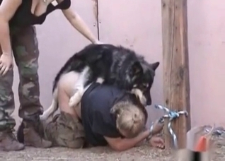 Dog fucks a juicy fat booty