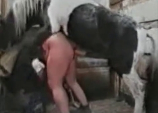 Farmer fucked by a huge stallion