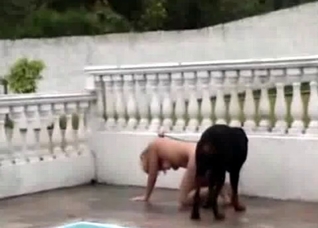Sex with a dog at the backyard