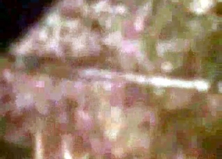 Dirty pig fucks a horny farmer