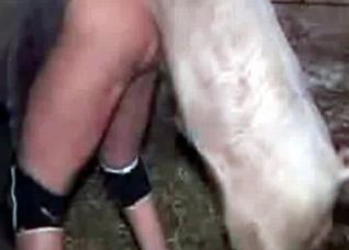Dirty pig fucks a horny farmer