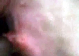 Dirty pig fucks a horny farmer