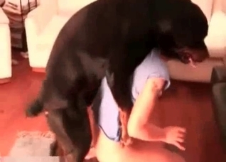 Fucked and licked by a black doggy