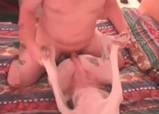 Dalmatian gets fucked from behind