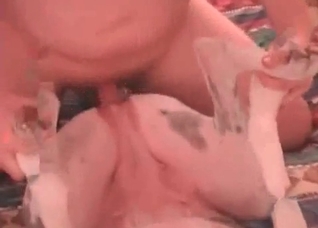 Dalmatian gets fucked from behind