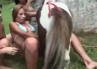 Small pony and two zoophiles