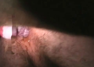 Let me fuck your lovely doggy