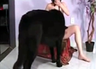 Hairy twat licked by a nice dog