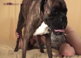 Zoophile and her truly trained dog