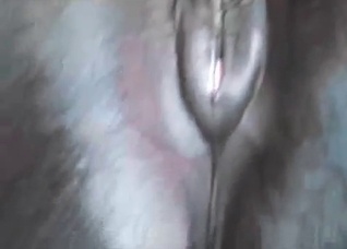 Huge anal hole of a stallion