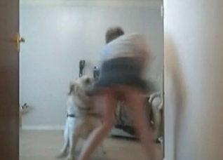 Masked musician and her trained dog
