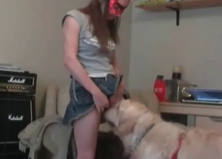 Masked musician and her trained dog