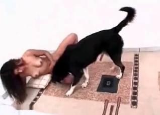 Venous dog cock in a twat