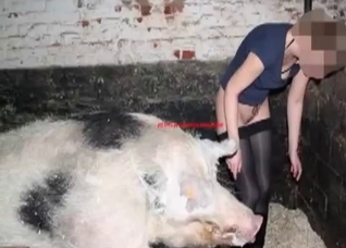 Dirty pig pounds a farm zoophile