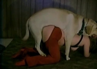 Farm girl licked in the hayloft