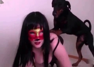 Black animal in the zoo fetish