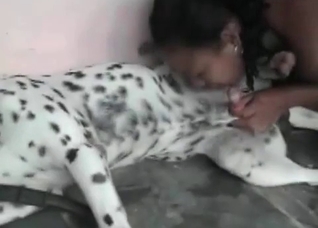Spotted dog sucked outdoors