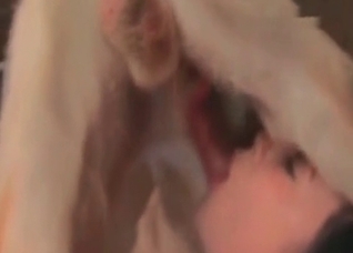 Impressive dog and obedient slut