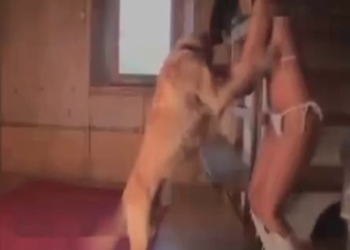 Impressive dog and obedient slut