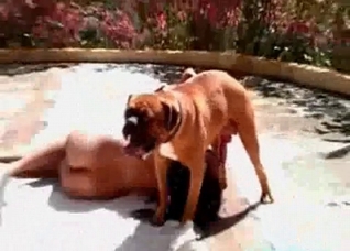 Tanned whore enjoys a doggy dick