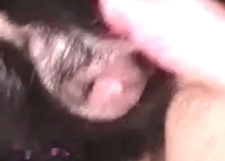 I really want to fuck this dog