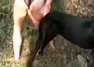 Nasty outdoor zoophilia