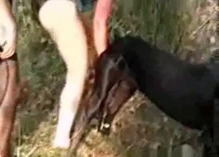 Nasty outdoor zoophilia
