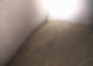 Animal porn from a POV angle