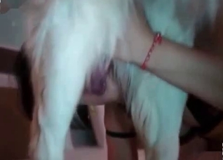 Cum queen explores an animal wiener