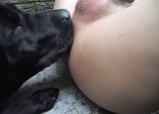 Dog adores my soft wiener