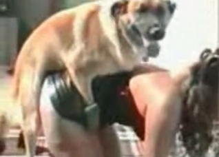 This fast doggy wants to fuck