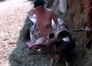 Laying doggy is enjoying a head