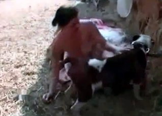 Laying doggy is enjoying a head