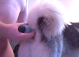 Just stretching a juicy doggy ass