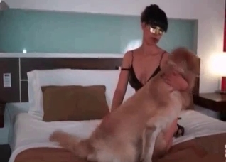 Just playing with an animal
