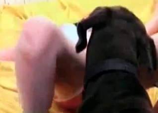 Intensive pussy licking in the zoo porn