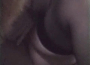 Sensual animal porn in the close up