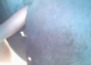 Black horse screwed in the anal