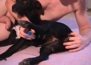 Dog tastes my hard wiener